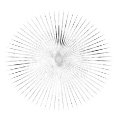 Dynamic Sunburst Illustration. Summer Fun concept