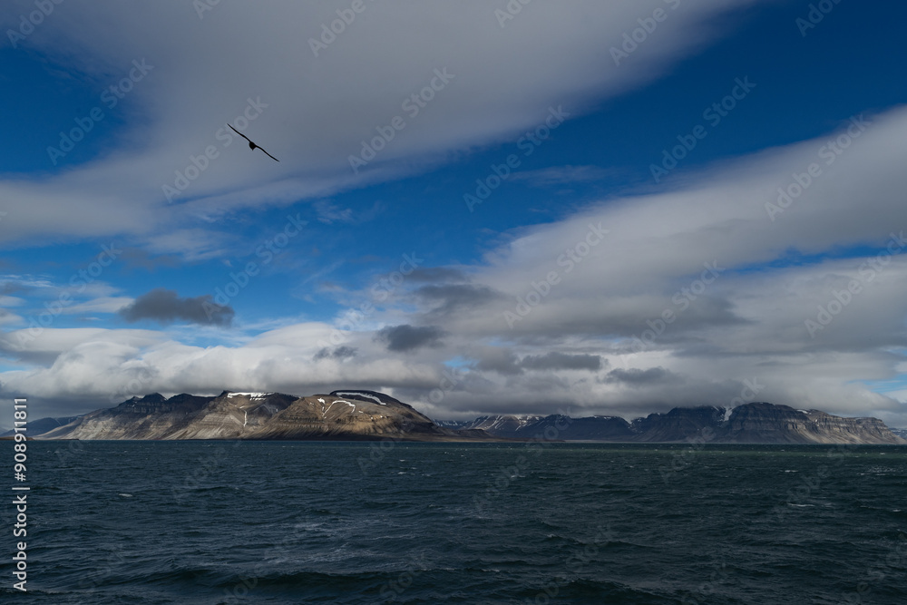 Wall mural artic landscape