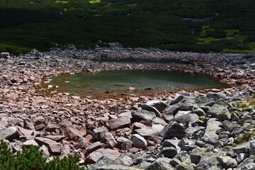 Czerwony Staw w Dolinie Pańszczycy w Tatrach, Tatrzański Park Narodowy, TPN, Polska, Europa, panorama, góra, krajobraz, woda, lato, 