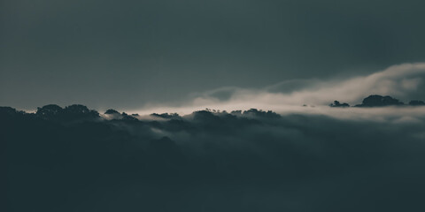 Misty Mountain Forest Landscape: Rain and Fog Embrace Nature's Green Environment, Journey Through...