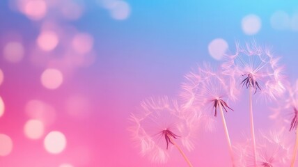 A whimsical close-up of dandelions against a dreamy pink and blue background, featuring soft bokeh highlights.