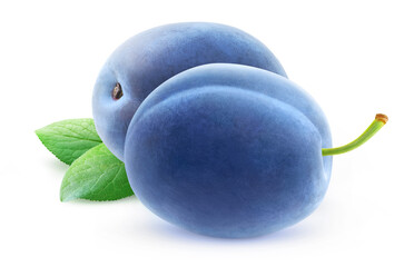 Two whole blue plums isolated on white