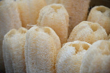 Loofah, not only a delicious ingredient but also a natural eco-friendly cleaning tool. Its dense fibers and saponins make it ideal for scrubbing pots and pans while providing cleaning benefits.