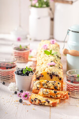 Hot and tasty blueberries yeast cake with glaze and crumble.