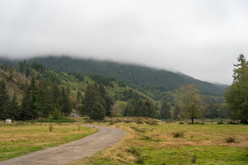 A walking path to the horizon in a local state park surrounded by lush greenery.