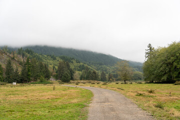 Obraz premium A walking path to the horizon in a local state park surrounded by lush greenery.