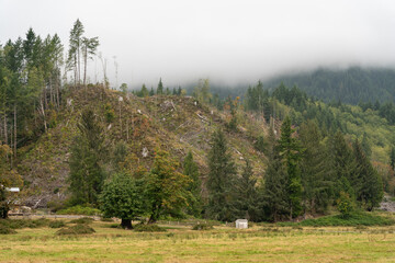 A walking path to the horizon in a local state park surrounded by lush greenery.