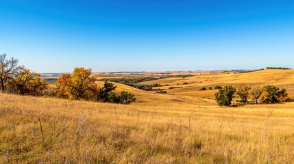 Fototapeta premium Vast autumn plains with golden grasses and colorful scattered trees under a clear blue sky, highlighting the expansive landscape.