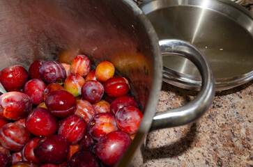 Fresh washed plums in a preserving pan ready for jam making