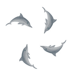 gray dolphins swimming and forming a circle with their bodies