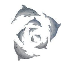 gray dolphins swimming and forming a circle with their bodies