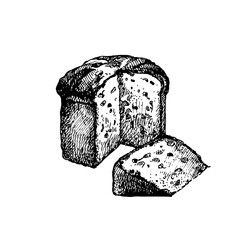 Hand drawn vintage sketch Italian food panettone. Vector illustration 