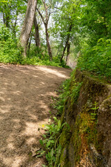 Obraz premium A walking path to the horizon in a local state park surrounded by lush greenery.
