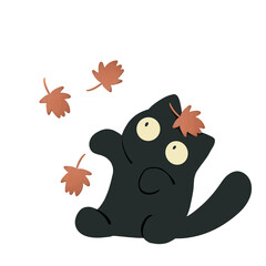 落ちてくる紅葉で遊ぶ黒猫