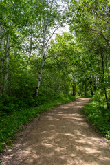 Obraz premium A walking path to the horizon in a local state park surrounded by lush greenery.