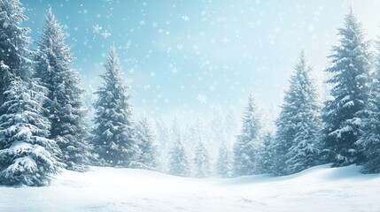 Fototapeta premium Snow-Covered Pine Forest Under a Blue Sky