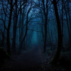 Fototapeta premium foggy forest at night