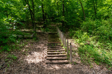 A walking path to the horizon in a local state park surrounded by lush greenery.