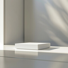 interior of a modern house with close up product display podium