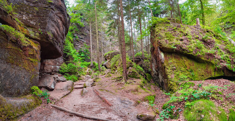 Panoramiv over hiking trail, ancient forest at Sandstone rocks Schrammstein group in the national park Saxon Switzerland, Bad Schandau, Saxony, Germany