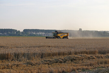 a big combine harvester is harvesting wheat in a grain field in summer