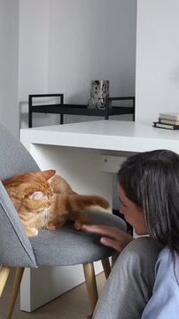 Girl playing with cute ginger cat at home interior