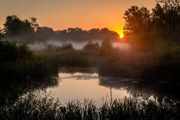 Obraz premium golden pond