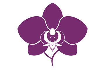 Pink Orchid Flower with Butterfly on White Background