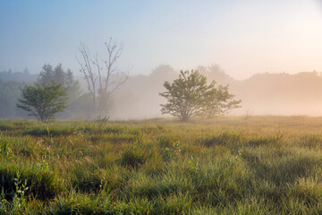 Obraz premium Summer early morning landscape with haze over river.