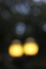 A blurry dreamy view of a bright light in the late afternoon.