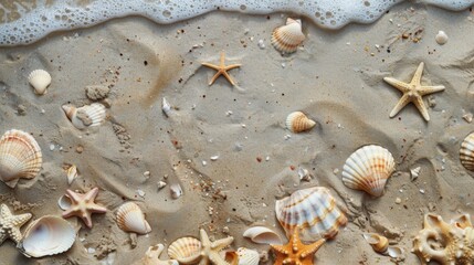 Fototapeta premium The sandy beach is adorned with an array of seashells and starfish, showcasing the beauty of marine life against the backdrop of frothy ocean waves.