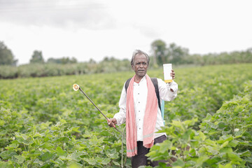Indian farmer working on farm field, spraying fertilizer on soil and plants.