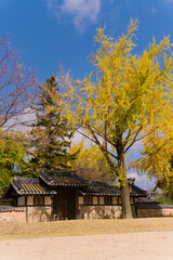the traditional Korean architecture of Jeonju Hyanggyo. The vibrant autumn colors and serene atmosphere highlight its historical significance as a Confucian school and cultural heritage site.