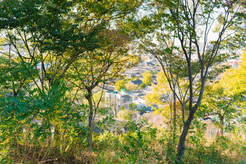 traditional Korean houses with tiled roofs nestled among modern buildings, viewed through tree foliage, blending cultural heritage with urban development in a scenic, harmonious setting.
