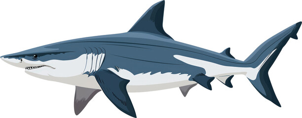 Naklejka premium Great white shark