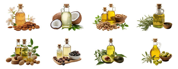 Collection of daily essential oils: almond, coconut, peanut, rosemary, walnut, castor, avocado, olive. Isolated on a transparent background.