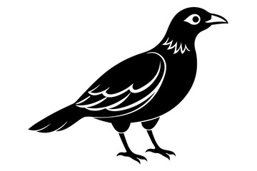 A Cute bird vector art in white background illustration.