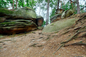Obraz premium Skamieniałe Miasto – rezerwat przyrody nieożywionej położony na prawym brzegu rzeki Biała na Pogórzu Ciężkowickim w Polsce.