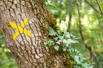Hiking trail marking in France. Marking the tourist route on the tree trunk in France. Hiking trail marked with yellow. Itineraries in France, repere excursion marking.