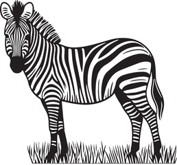 A Beautiful zebra line art design.