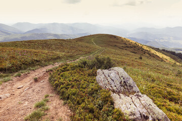 Vibrant mountain landscape with lush meadows under blue skies, a view of natures tranquility