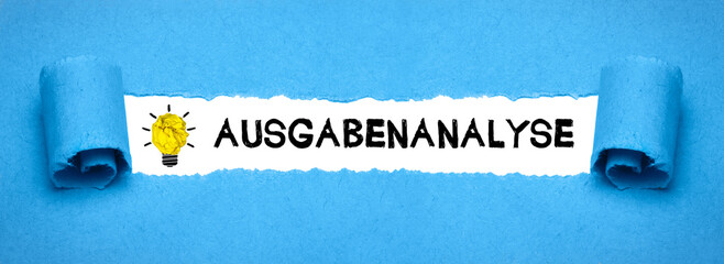 Ausgabenanalyse	
