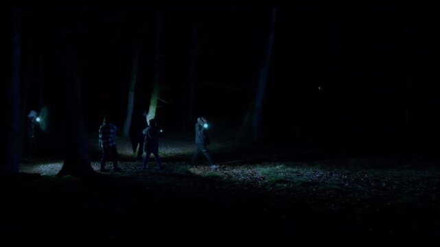 Walking through forest night