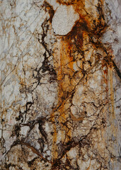 Old Cracked Natural White Marble