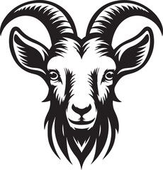 Goat head vector image