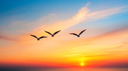 Fototapeta premium Sunset over the ocean with three flying birds, serene sky with vibrant colors. Nature and tranquility concept