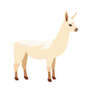 recommend clip art: 동물,animal