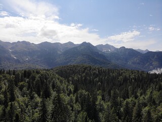 Obraz premium Forest landscape in the mountains of Slovenia