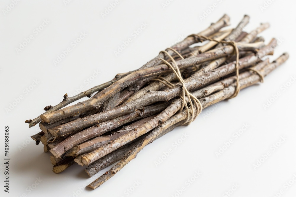 Poster A collection of sticks bound together with twine or string, sitting on a plain white surface