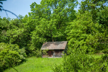 A wooden cabin in green foliage